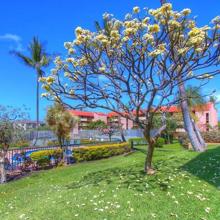 Апартаменти Maui Vista 3105 Кіхеї Екстер'єр фото